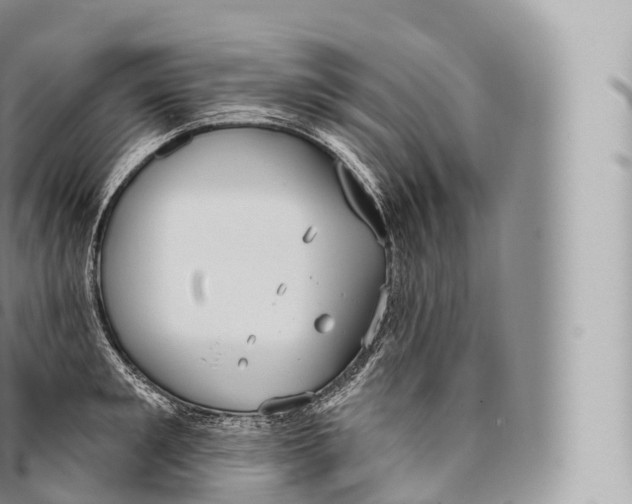 X0000096490901200802141743