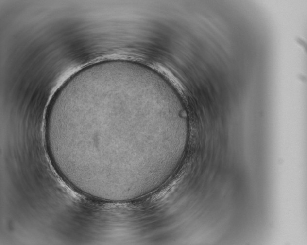 X0000096490902200802141743