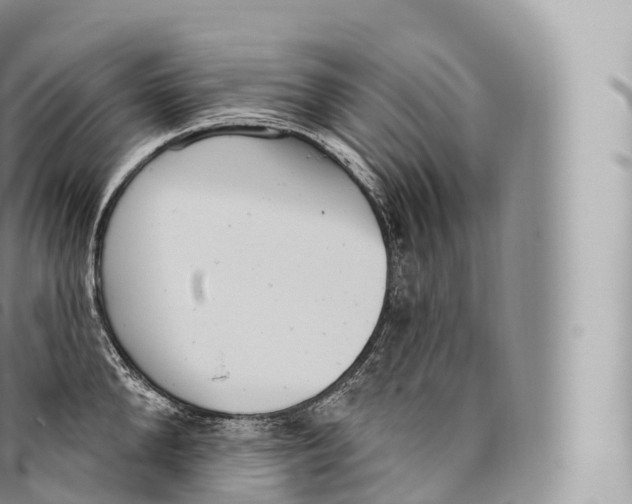 X0000096490904200802141743