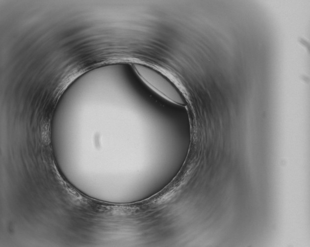 X0000096490905200802141743