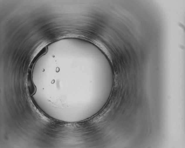 X0000096490906200802141743