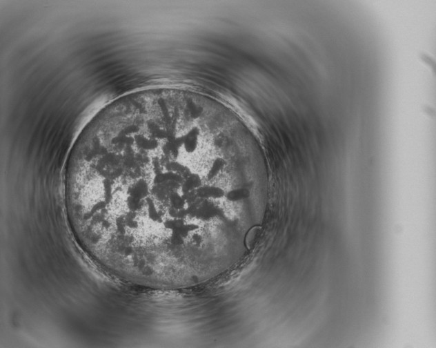 X0000096490907200802141743