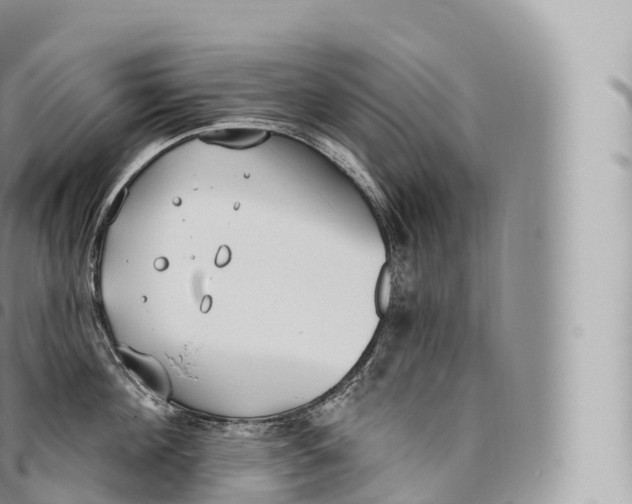 X0000096490908200802141743