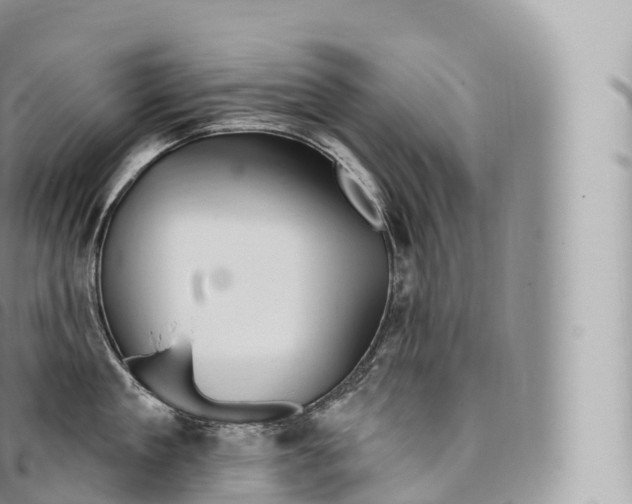 X0000096490909200802141743