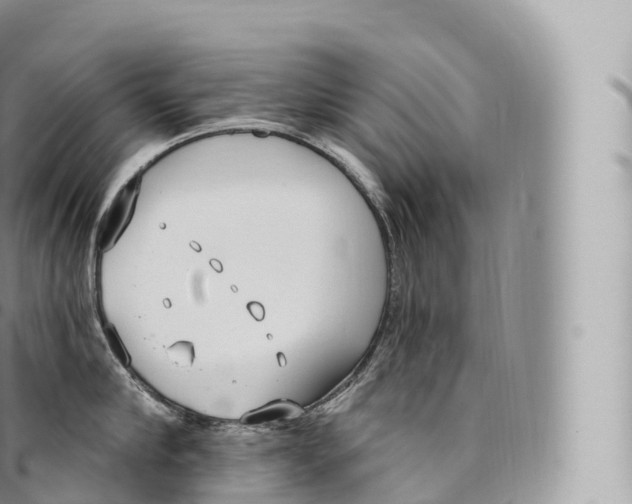 X0000096490910200802141742