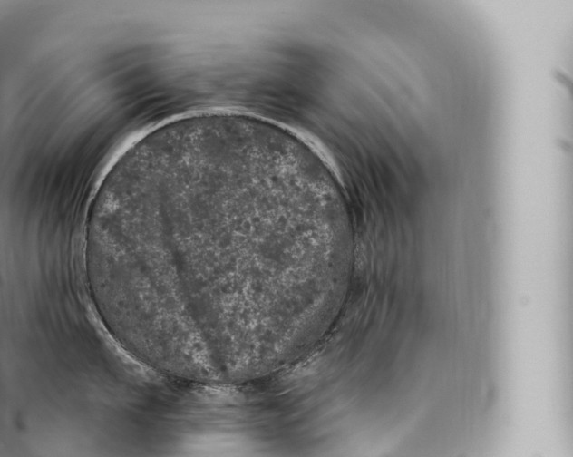 X0000096490911200802141742