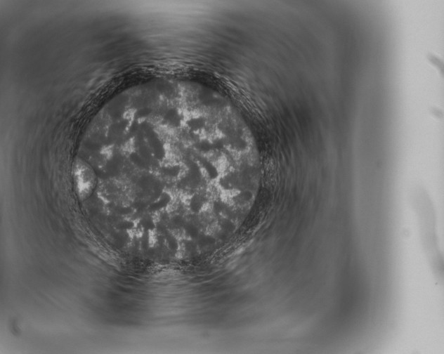 X0000096490913200802141742