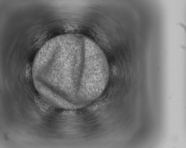 X0000096490914200802141742