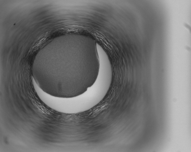 X0000096490916200802141742