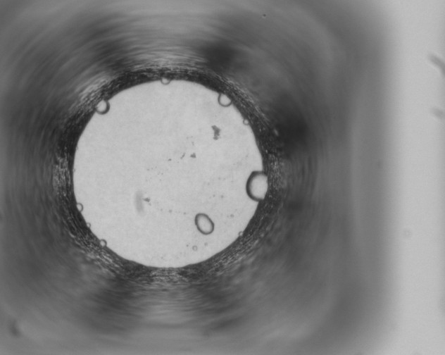 X0000096490918200802141742