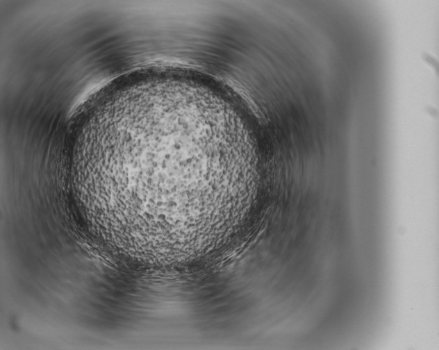 X0000096490919200802141742