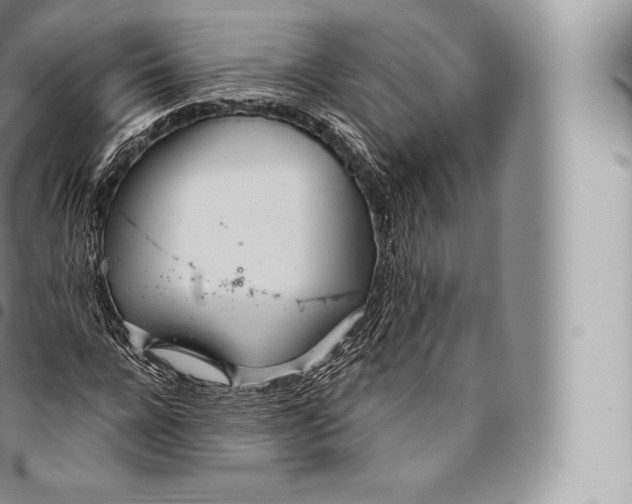 X0000096490920200802141742