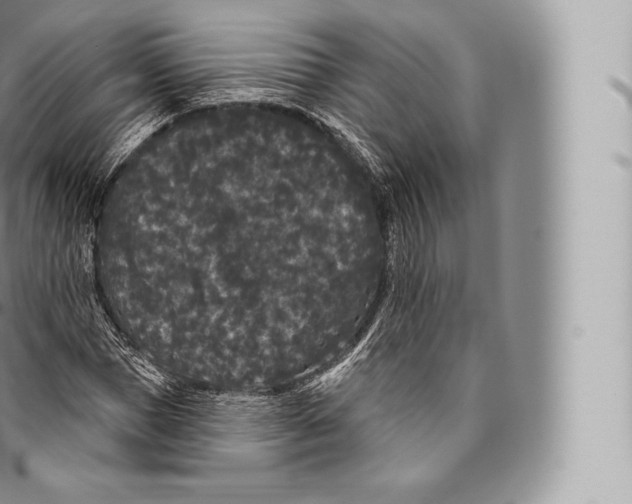 X0000096490921200802141742