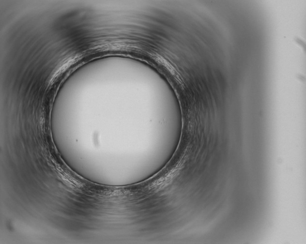 X0000096490922200802141742