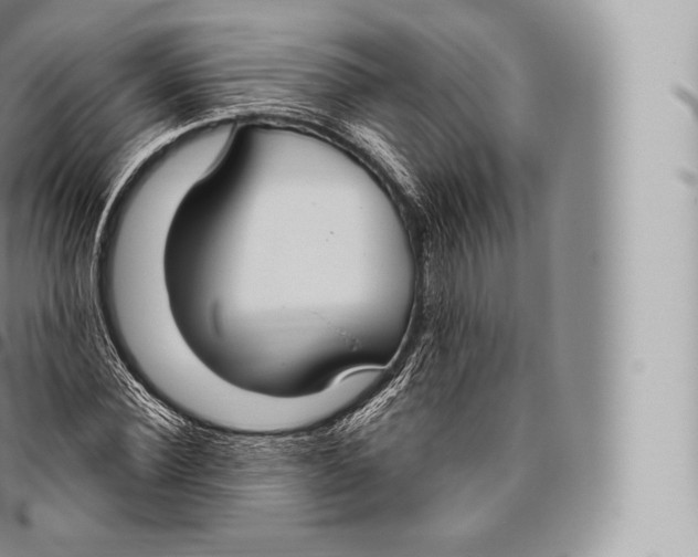 X0000096490924200802141742