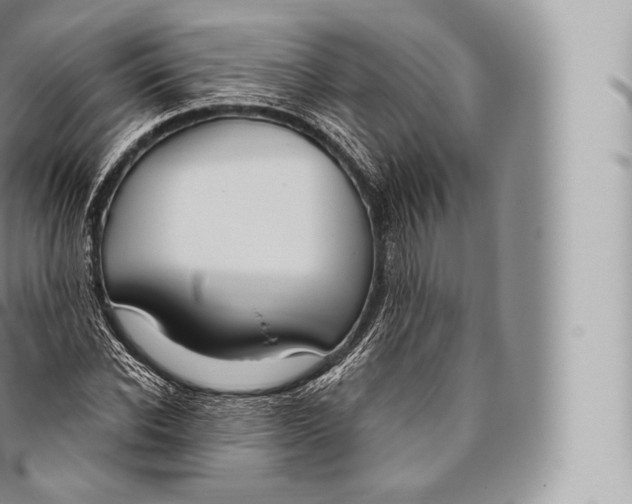 X0000096490926200802141742