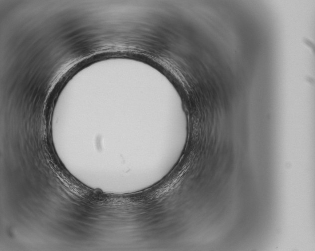 X0000096490927200802141742