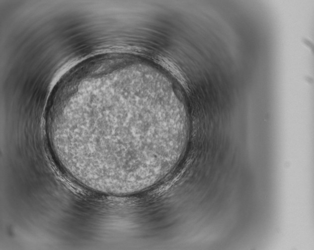 X0000096490928200802141742