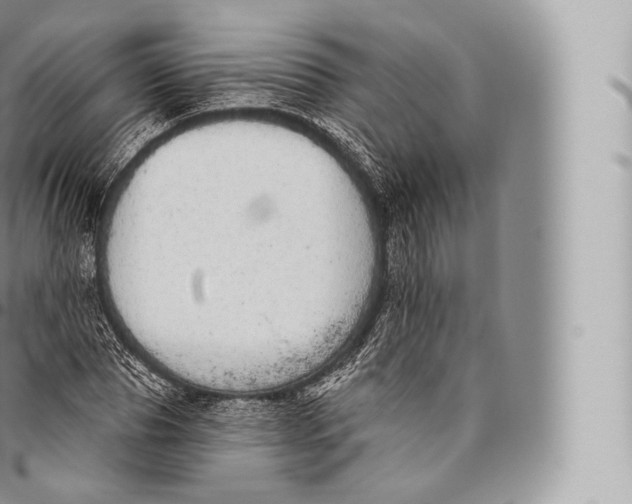 X0000096490929200802141742