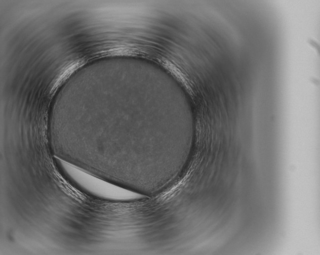 X0000096490930200802141742