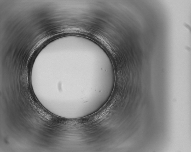 X0000096490931200802141742