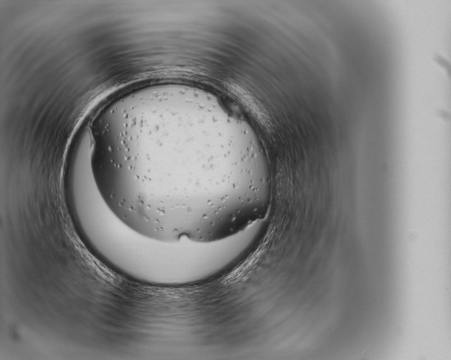 X0000096490932200802141742