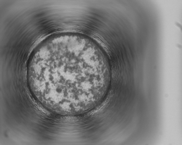 X0000096490933200802141742