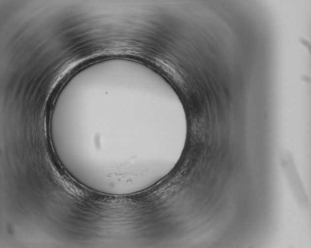 X0000096490934200802141742