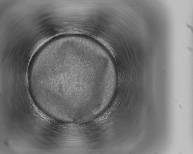 X0000096490935200802141742