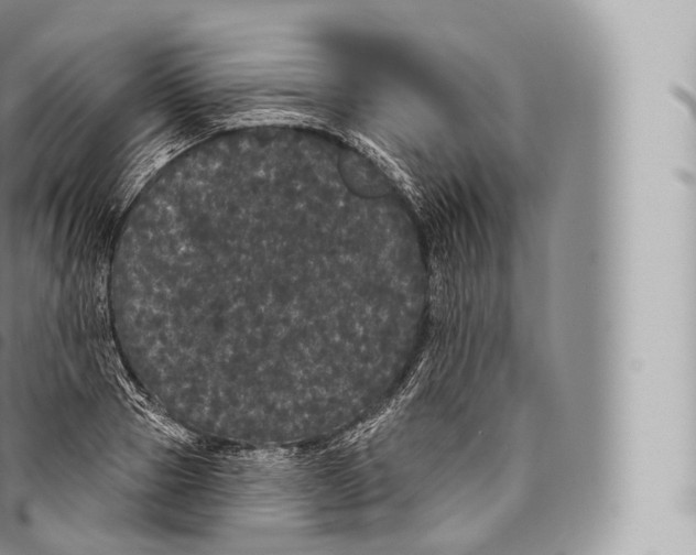 X0000096490937200802141742