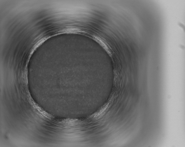 X0000096490939200802141742