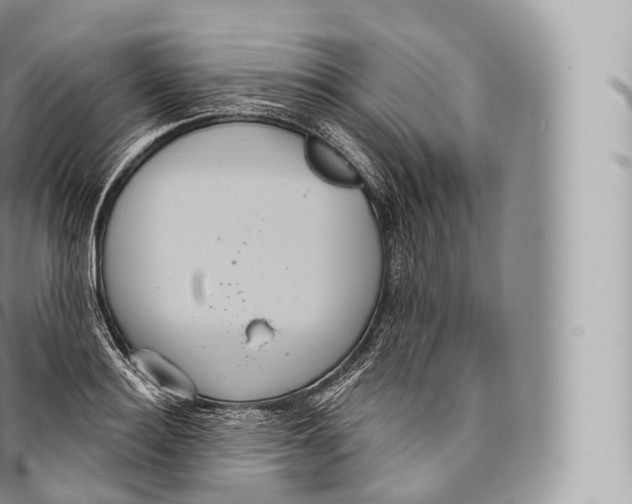 X0000096490940200802141742