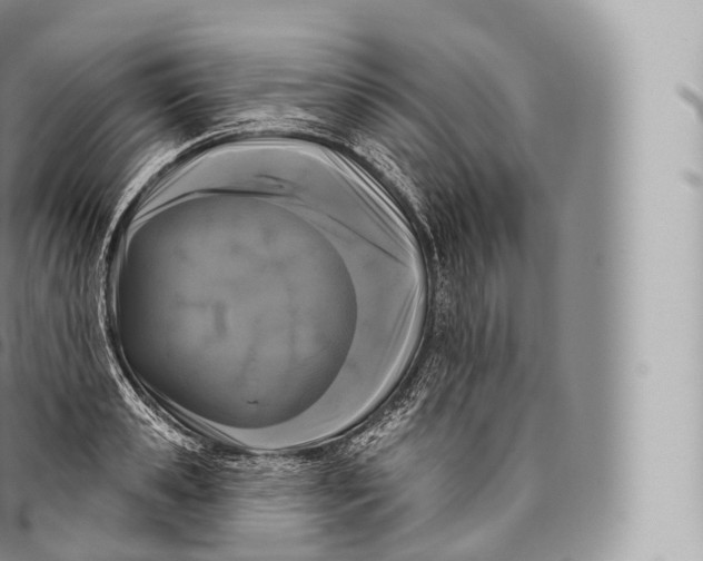 X0000096490941200802141742