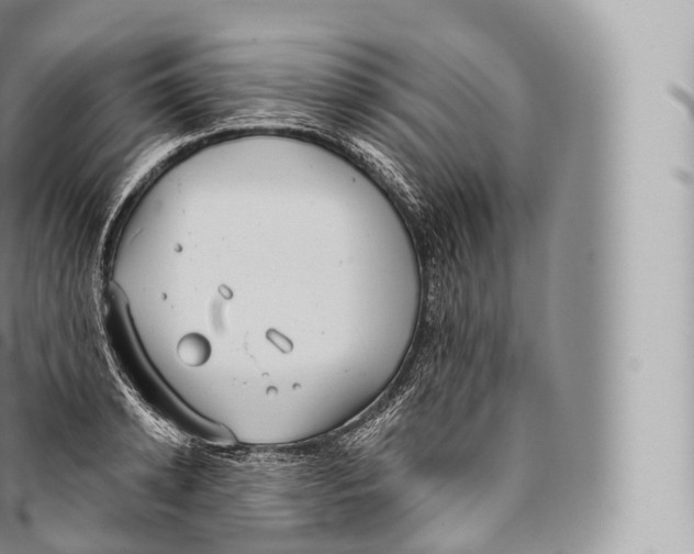 X0000096490942200802141742