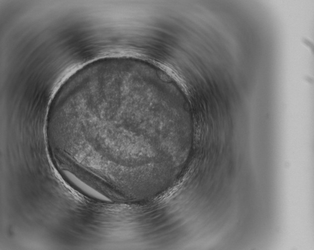 X0000096490943200802141742