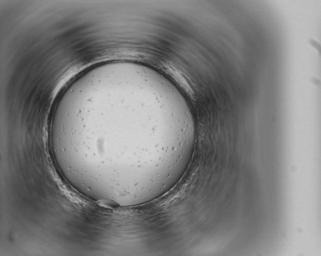 X0000096490944200802141742