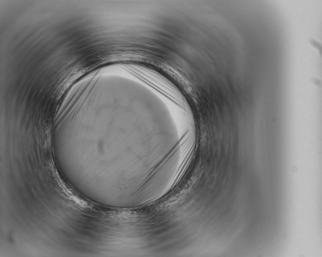 X0000096490945200802141742