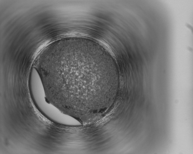 X0000096490946200802141742