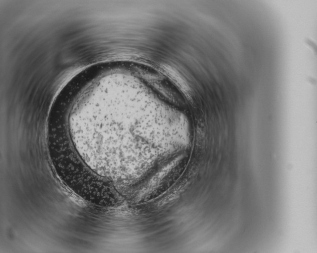 X0000096490948200802141742