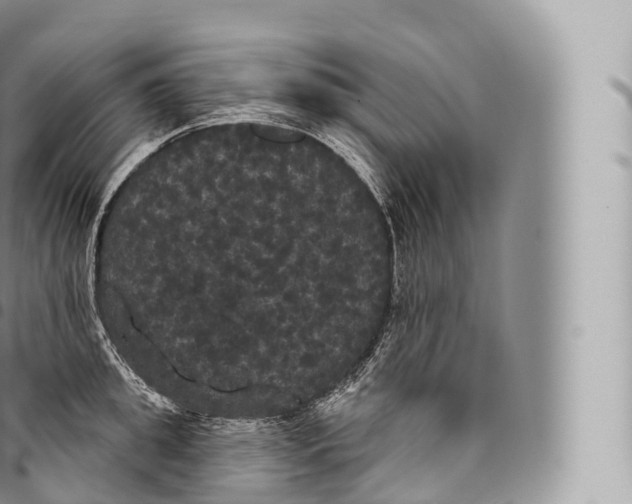 X0000096490949200802141742