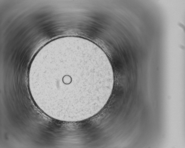 X0000096490950200802141742