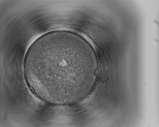 X0000096490951200802141742