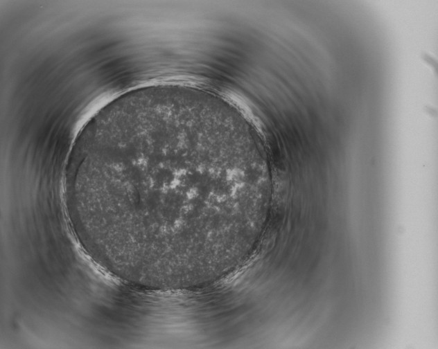 X0000096490952200802141742