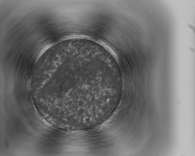 X0000096490953200802141742