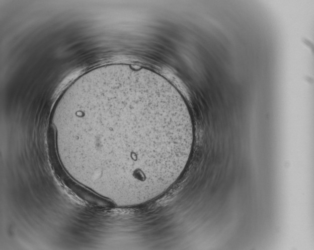 X0000096490954200802141742