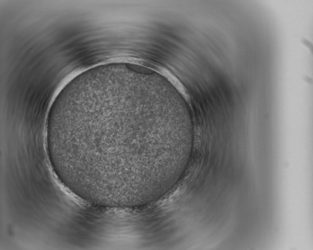 X0000096490955200802141742