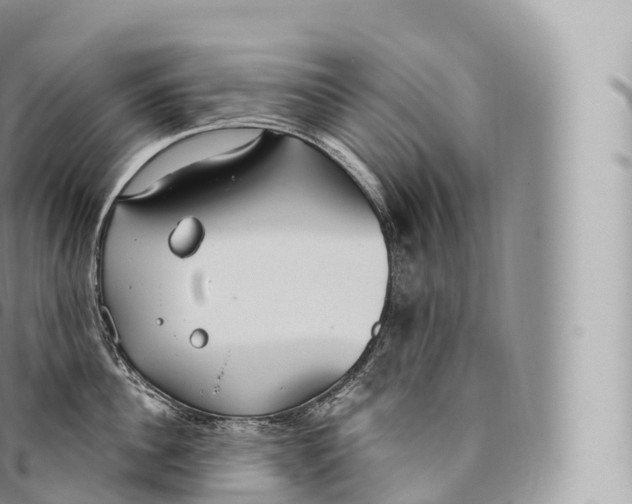 X0000096490956200802141742