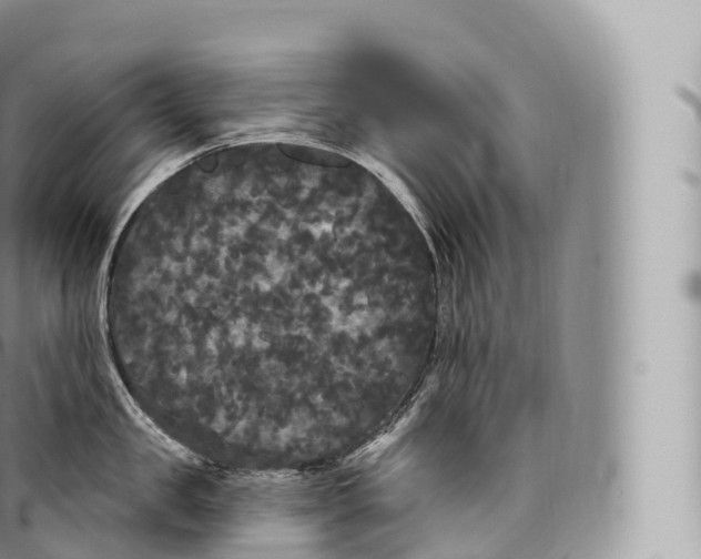 X0000096490957200802141742