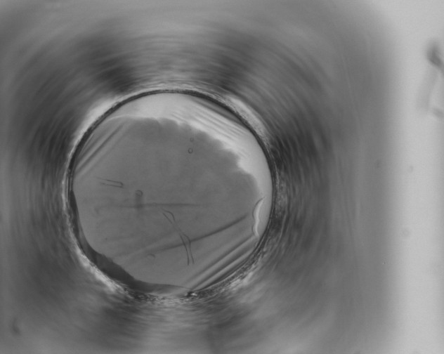 X0000096490958200802141742