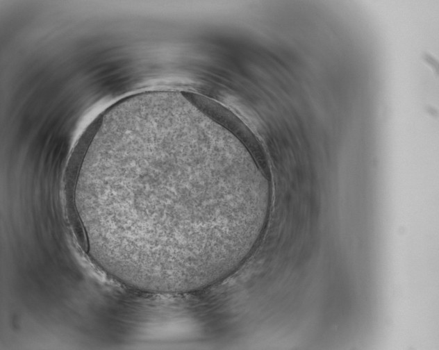 X0000096490960200802141742